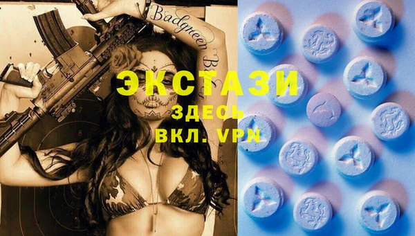 дурь Лабытнанги