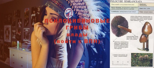 скорость Абинск