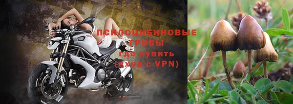 бутират Ладушкин