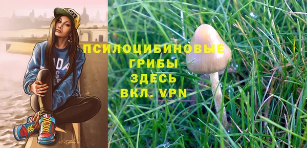дурь Лабытнанги
