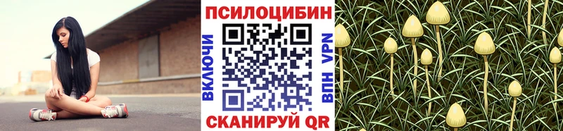 Псилоцибиновые грибы ЛСД блэк спрут tor Электросталь купить наркоту